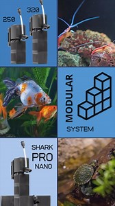 Modular and adaptive 🙌🏼 The Shark Pro nano just became your favorite nano aquarium & Quaratine aquarium filter. 📣: It also has a 5 year warranty #productdesign #filter #aquariumhobby #aquariums #madeinitaly | SICCE