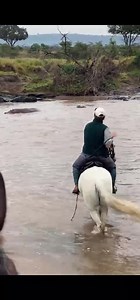 Guides sometimes carry a whip not to hurt wildlife, but to communicate with it. For example, when guiding horses near a river, hippos may be resting along the bank. They’re incredibly territorial and can be unpredictable, especially when surprised. Instead of getting too close, the guide cracks the whip in the air. The sharp sound mimics a dominant warning in the wild, making the hippos lift their heads, size up the situation, and slowly move back into the water. No chase. No stress. Just a resp