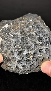 The ocean’s trapped inside this coral head🪸🌊✨ #crystals #rocks #geology #fossils #coral #geode #agate #minerals #chalcedony | CoralGeodes