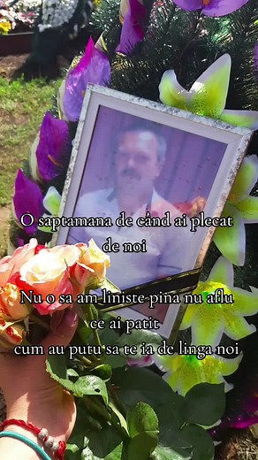 Gravesite Decorated with Lilies: A Tribute to Loved Ones