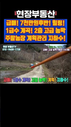 급매 최고의 주말농장 고급 농막 설치 완료 183평 #급매 #평창 #농막 #계곡 #주말농장