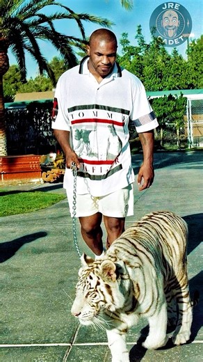 The Reason Why Mike Tyson Bought A Tiger Left Joe Speechless😳😂