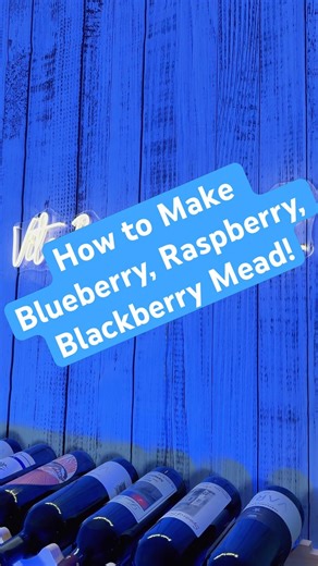 How to Make Mead! Blueberry, Raspberry, & Blackberry 🍷 🐝 🍯 #mead #honey #winetipsandtricks