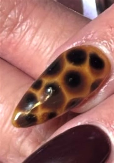 Top Tortie Nail Gel for Perfect Designs