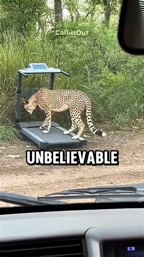 nature could beat technology?!