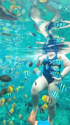 Amed Snorkeling Trip – Colorful Fish & Clear Water