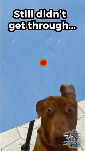 Day 12 of creating 3D printed ammo.