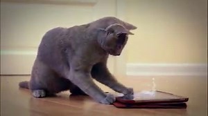 4.5K reactions · 744 shares | Dive underwater for a super fun match-3 adventure! Install Fishdom now! | Fishdom | Facebook