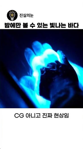 밤에만 볼 수 있는 빛나는 바다