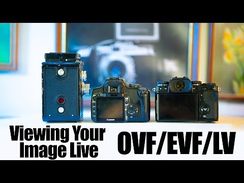 OVF vs EVF vs Live View Explained