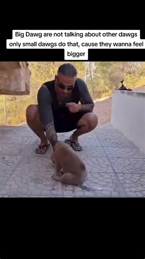 The Reality of Big Dawgs: Understanding True Companionship