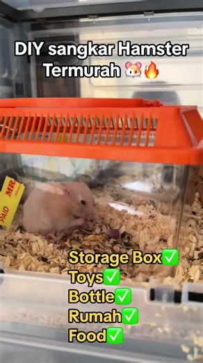 DIY Sangkar Hamster Termurah untuk Peliharaanmu