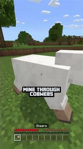 ✂️Minecraft Shears, Wool, Cobweb, & Sheep🐑