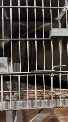 39K views · 310 reactions | Tiền đã vào tài khoản rồi chỉ chờ ngày rút thôi | Bảo Duy | Facebook