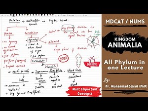 MDCAT | NUMS | Kingdom Animalia | Animal Phyla's