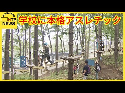 小学校の敷地に本格アスレチック施設が 土日祝日や夏休みに営業 札幌