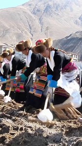 520K views · 1.6K reactions | Modern agricultural machinery is widely used in Xizang’s spring farming nowadays. #wonderfulChina #spring #ploughing #southwestChina #modernization | HustleBustle_China | Facebook