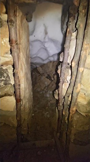 Night Winter Camping with My Dogs in a Fireplace Shelter | Deep Snow Survival (Nature ASMR)
