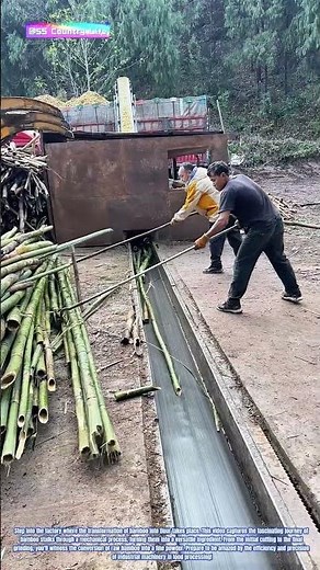 The Process of Bamboo Flour Production: From Raw to Refined
