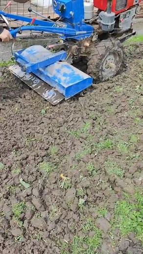 Old man tills the soft muddy soil with a hand power tiller | New hand power tiller #powertiller #handtiller #reels #reelschallenge #reelsfbシ #reelsviralfb | Power Tiller BD & Machinery Tools