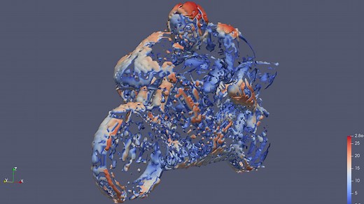 paraview Q准则涡（motorBike算例 ）