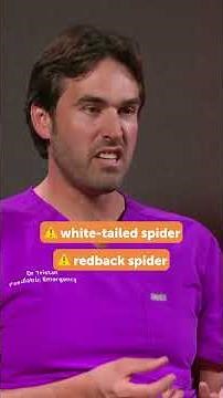 What bites and stings should you worry about?