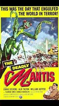 B-Movie posters #bmovies