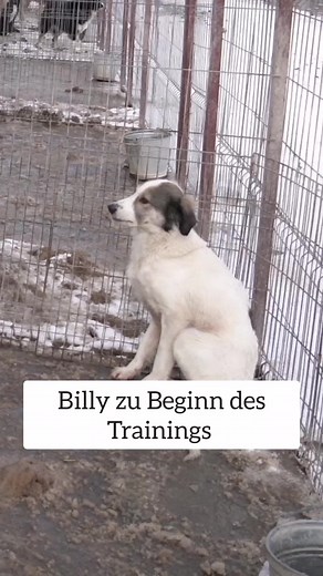 Sarah Fink on TikTok