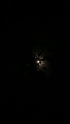 Moon Beautiful Videos: Aesthetic Views at Morning and Night 2024