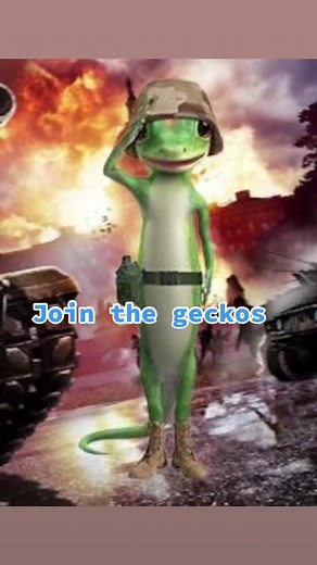 Gecko_military on TikTok