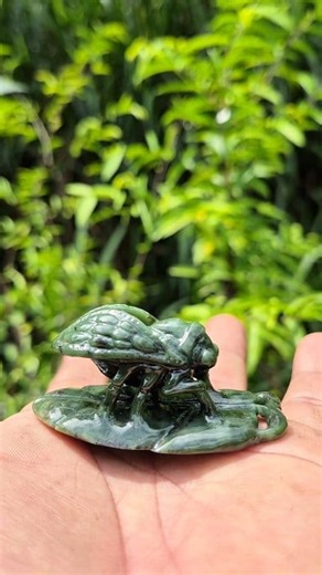 The process of carving jade into noisy fly animals #gemstone #curving #jade #fosil #jewelry #gemstone #gems #amethyst #mineral #agatecollector #agate #art #fblifestyle | Supra Afrianto