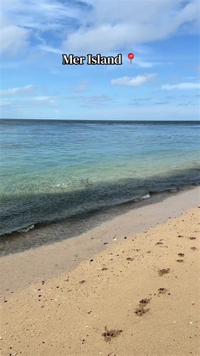Exploring Rainbow Runner Fish in FNQ