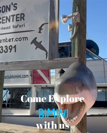 Neal Watson's Bimini Scuba Center on Reels