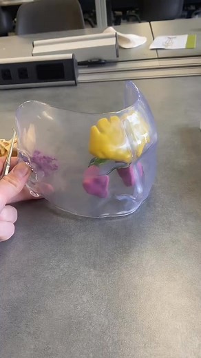 Sinus in the skull Human Anatomy Model #anatomymodel #anatomy #LearnOnTikTok #professorkleinanatomy #teachertok #anatomymodels #STEM #anatomyupclose #sinus #sinusrelief #sinusinfection #sinusitis #sinusrinse #sinuses #sinuspressure #STEMTok #ohiouniversity | Anatomymodels | Facebook