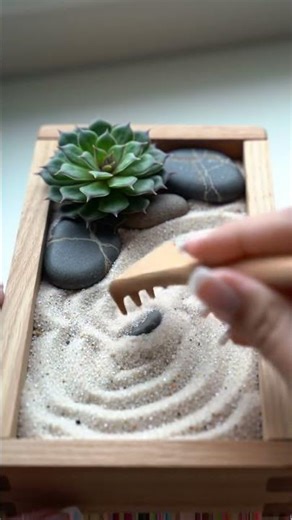 Create Your Calm: DIY Mini Zen Garden ✨