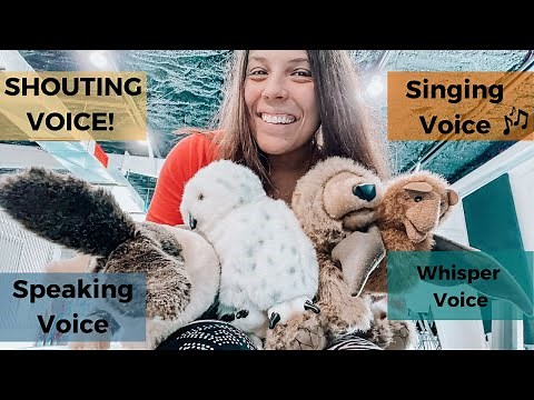 Teaching The Four Voices (Speaking, Whisper, Singing, Shouting) In Elementary Music Class!