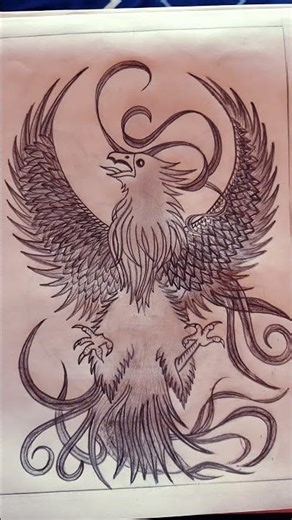 phoenix bird drawing #art #shorts #drawing #birds #sketch