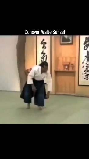 Donovan Waite Sensei about Mae Ukemi in Aikido | AikidoX.be