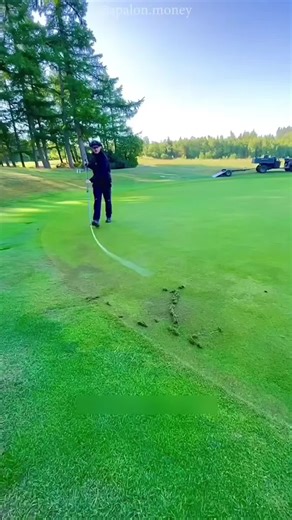 Solving Lawn Care Issues: The Dew Dilemma