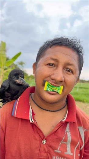 Yummy Bites EUGICA Ginger 🫚 Candy 🍬 eating by #masterlin |#viral #shorts #asmr