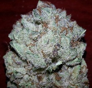 G Cut | Marijuana Strain Reviews