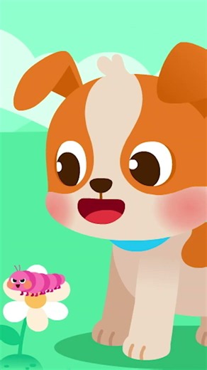 Little Bunny, Puppy, and Kitty got a Boo Boo #babyshark #shorts