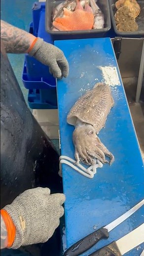 How I prepare a whole cuttlefish.