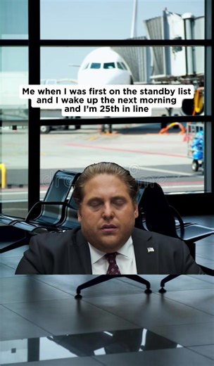 Travel Comedy Moments That Resonate with Everyone