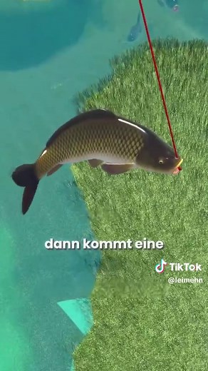 Bogenfisch Technik: Atem unter Wasser und an Land