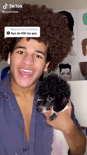 Bob Ross Painting KSI Boxing Meme