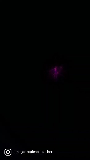 This is exactly how evolution works. Absolutely perfect representation. #science #biology #evolution #human #animals #life #worm #fish #lizard #monkey #man #woman #truth #fly #filter #crazy #nature #learnontiktok