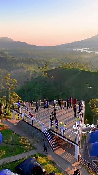 Bunga Surga - Rhoma Irama #bungasurga #rhomairama #lagudangdut #foryou #fyp