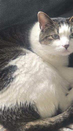 Tigg is always hungry! 😆 🤣