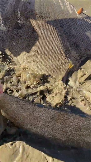 Catching Every Fish in the Pond🎣💨